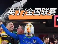 jinnianhui最新版欧国联赛2021